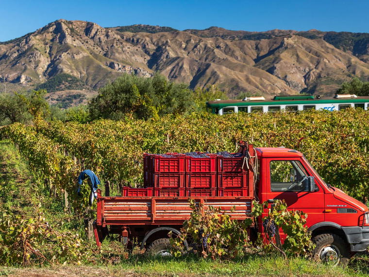 Azienda Agricola Cenetae, Vittorio Veneto, Italy