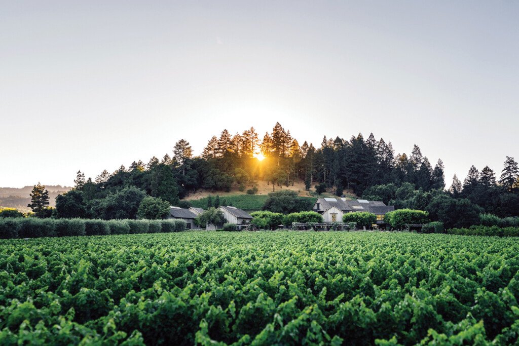 Napa Valley Reserve