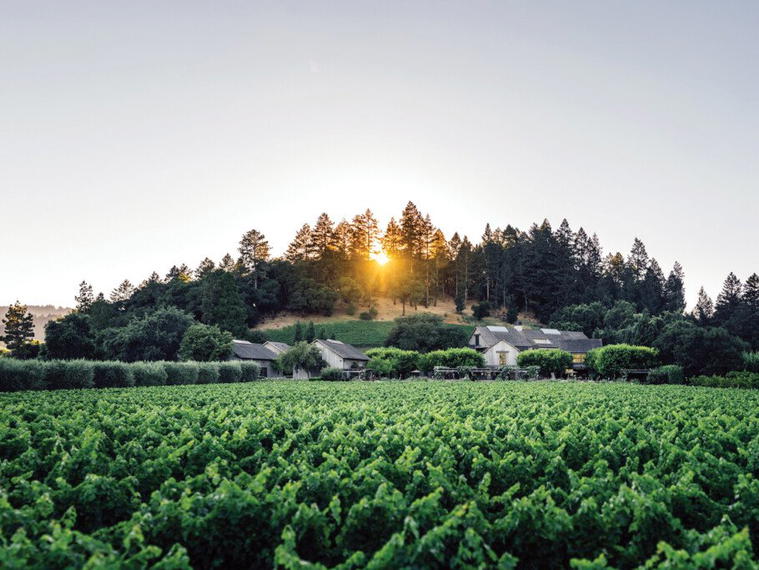 Napa Valley Reserve, Napa, United States