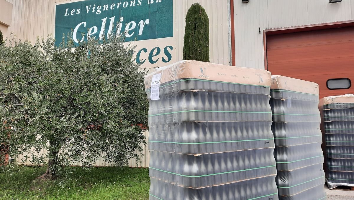 Cellier des Princes