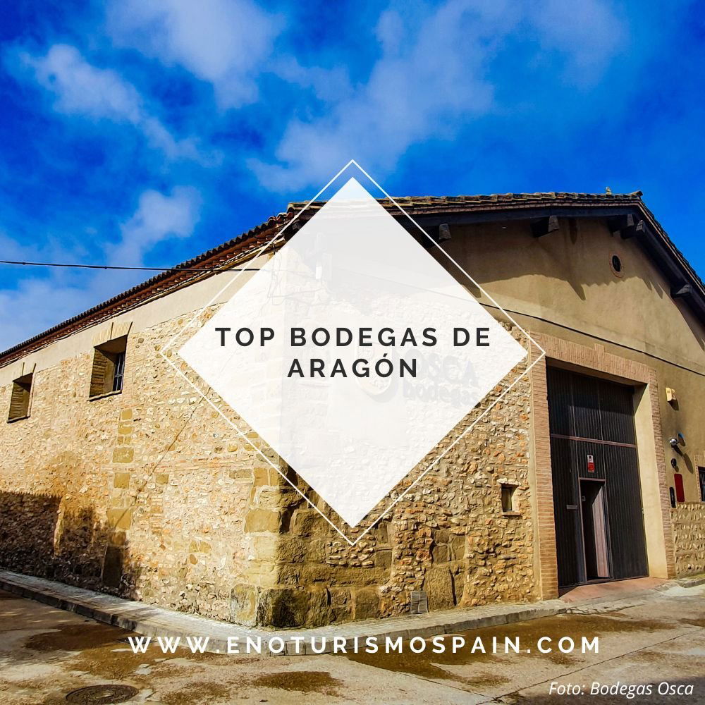 Bodegas Raices Ibericas, Winery in Maluenda