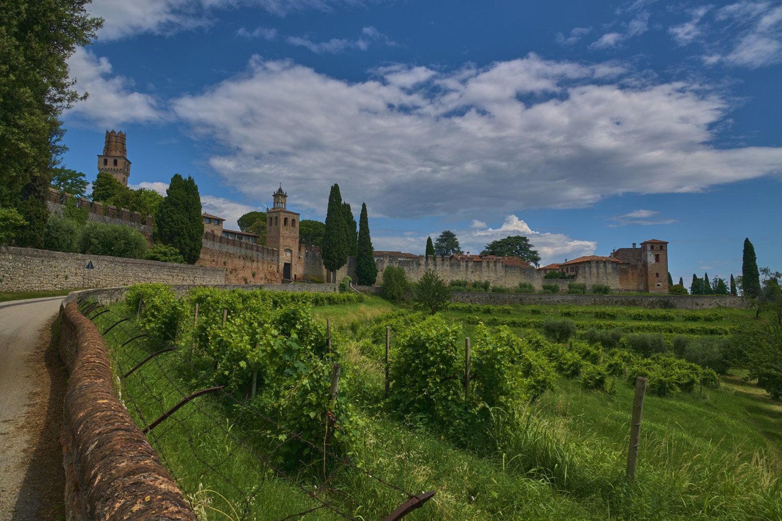 Borgo Schiavin winery in Tarzo