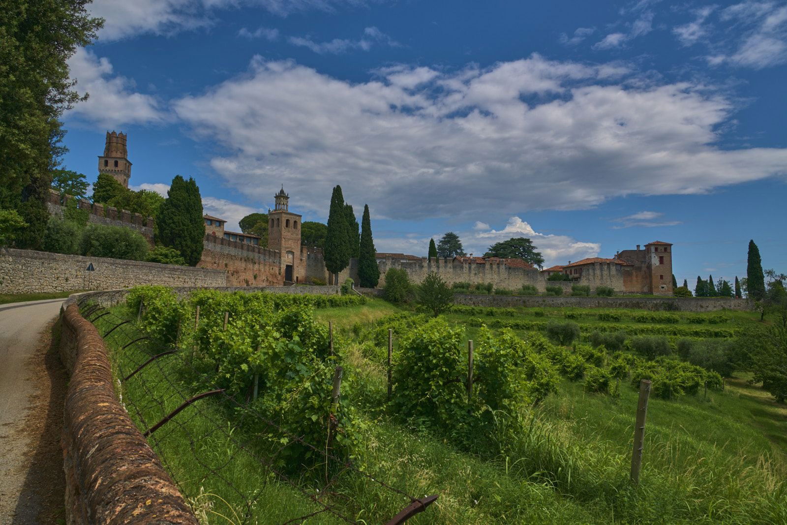 Borgo Schiavin, Winery in Tarzo