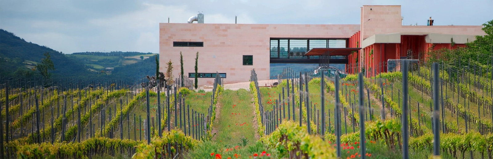 Bodegas Comenge, Curiel Del Duero, Spain