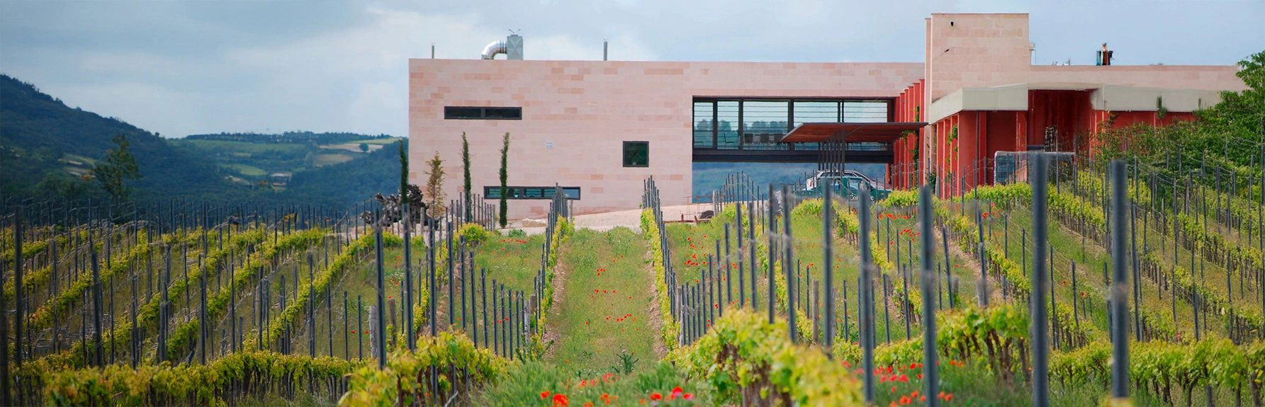 Bodegas Comenge, Winery in Curiel Del Duero