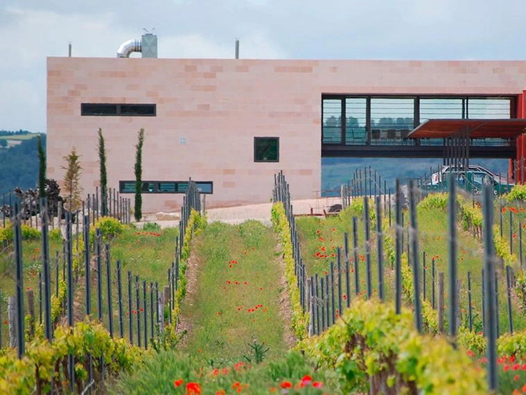 Bodegas Comenge, Curiel Del Duero, Spain