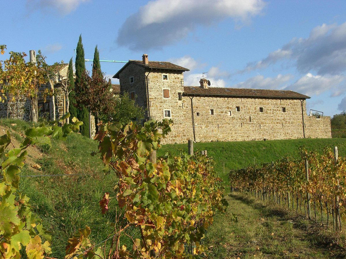 Cantina Ronchi di Manzano winery in Manzano, Italy