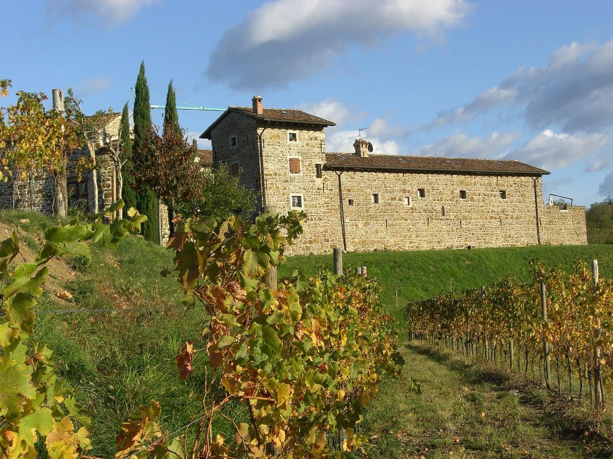 Cantina Ronchi di Manzano