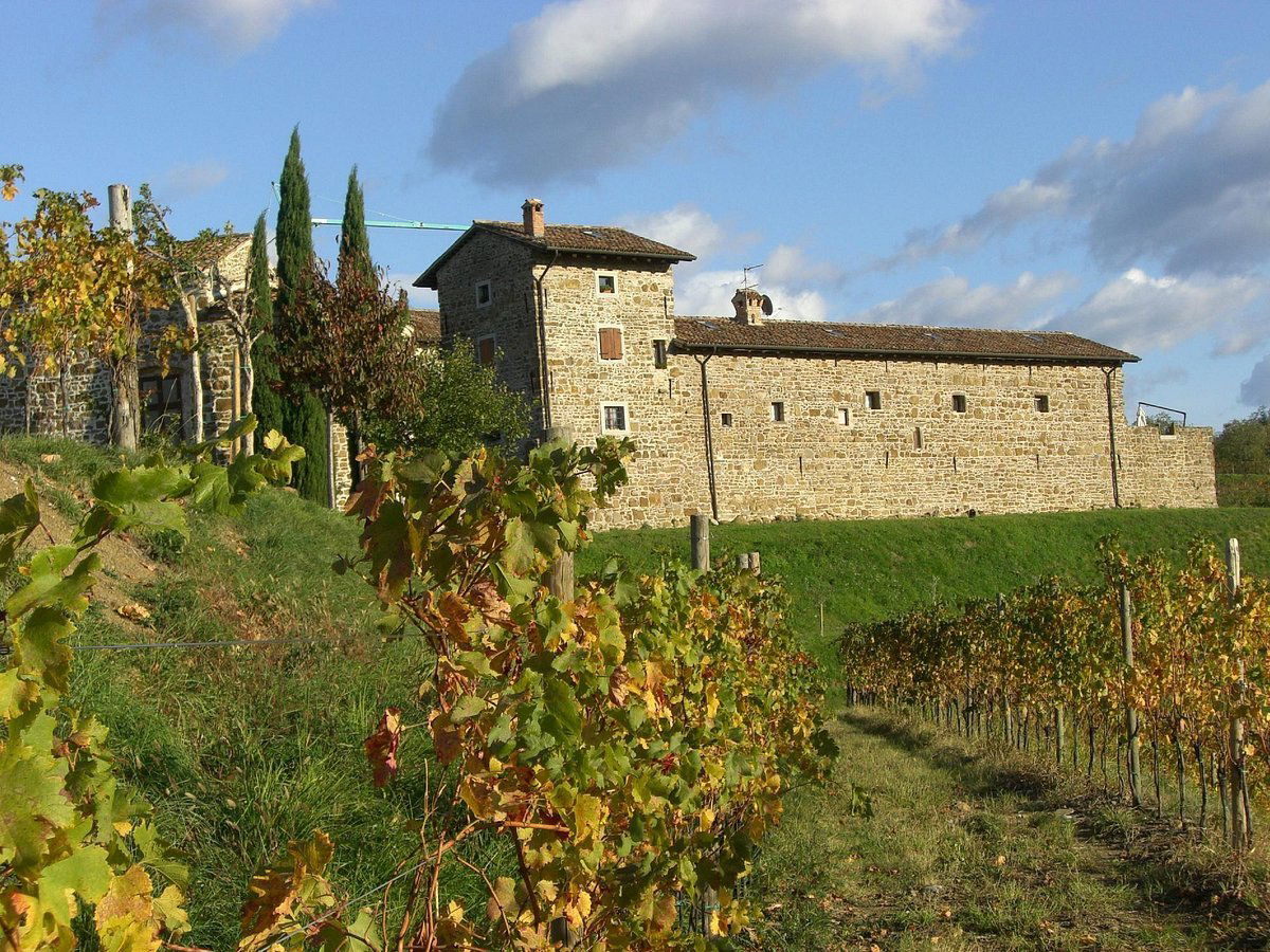Cantina Ronchi di Manzano, Winery in Manzano