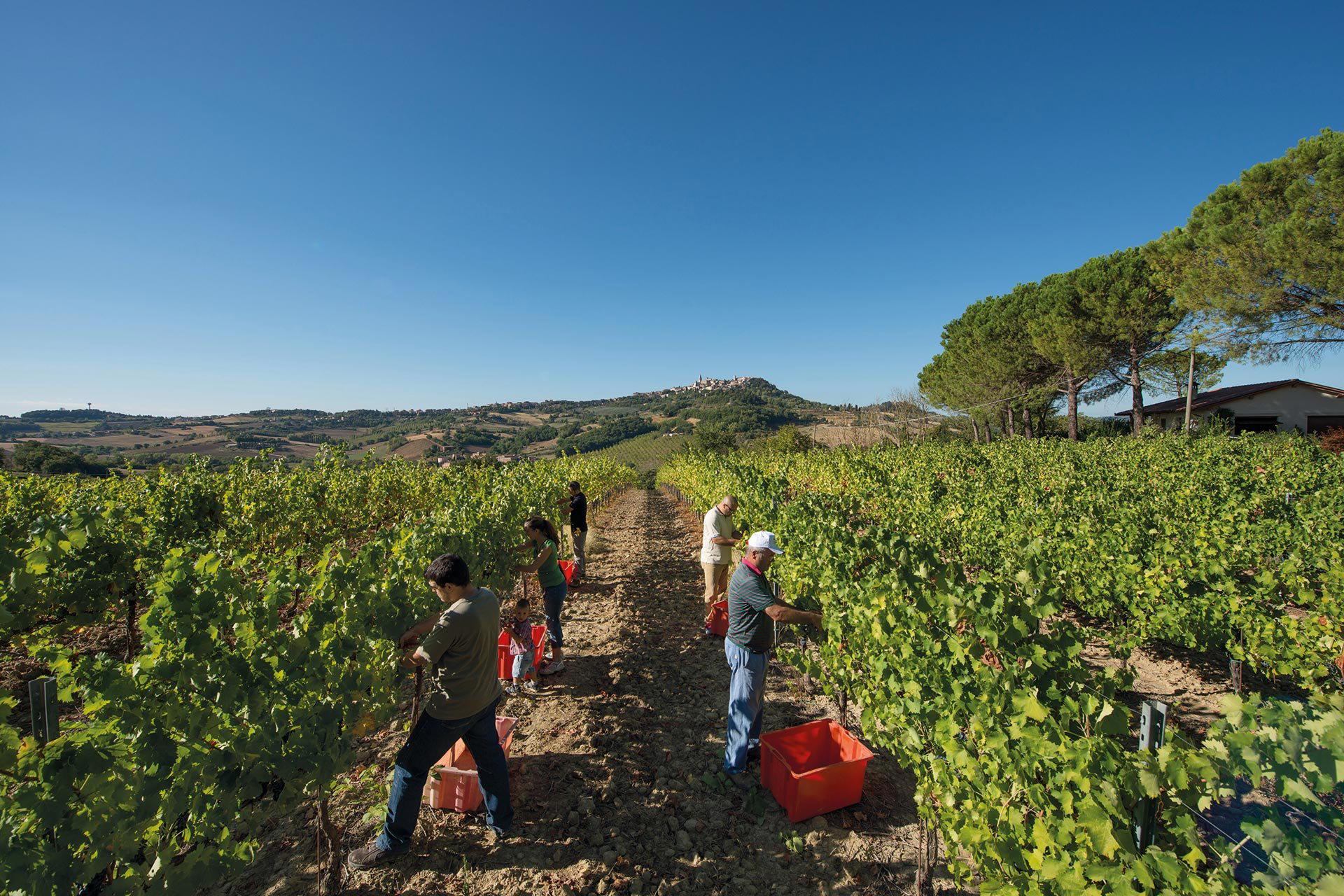 Tudernum winery in Todi, Italy