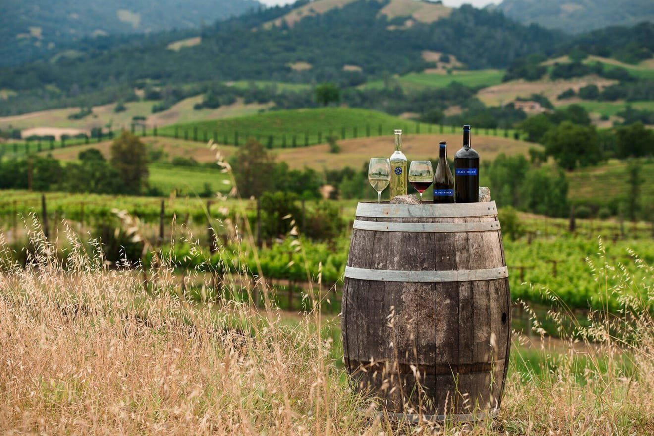 Maroon Wines winery in Napa, United States