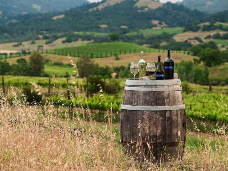 Maroon Wines, Napa, United States
