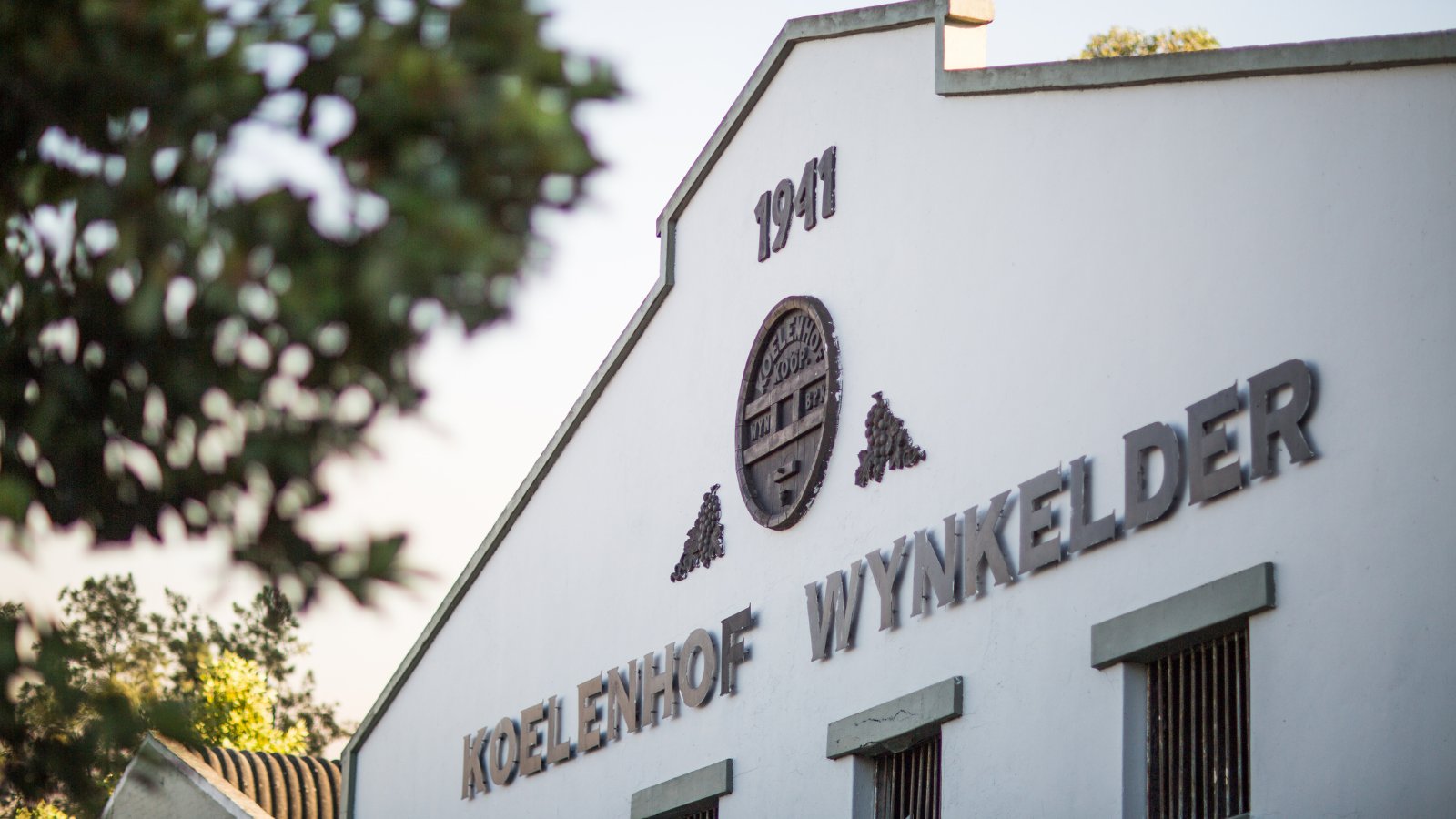 Koelenhof Winery, Stellenbosch, South Africa