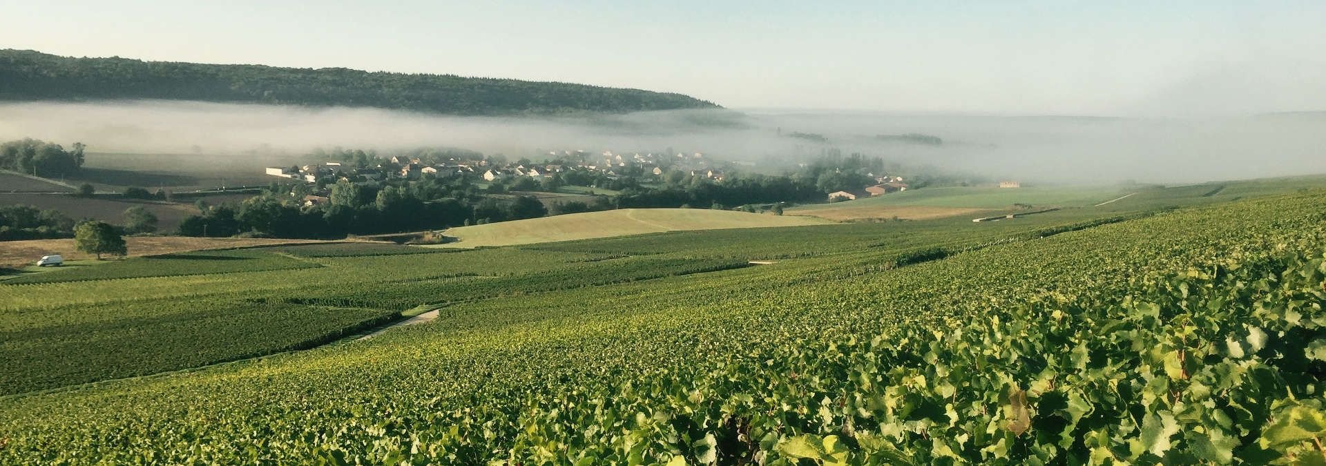 Champagne Franck Pascal, Winery in Baslieux Sous Chatillon