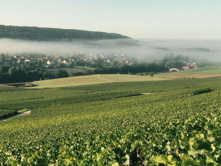 Champagne Franck Pascal, Baslieux Sous Chatillon, France