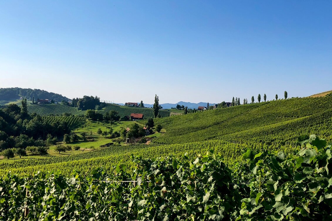 Amouro OG, Ehrenhausen On The Weinstrasse, Austria
