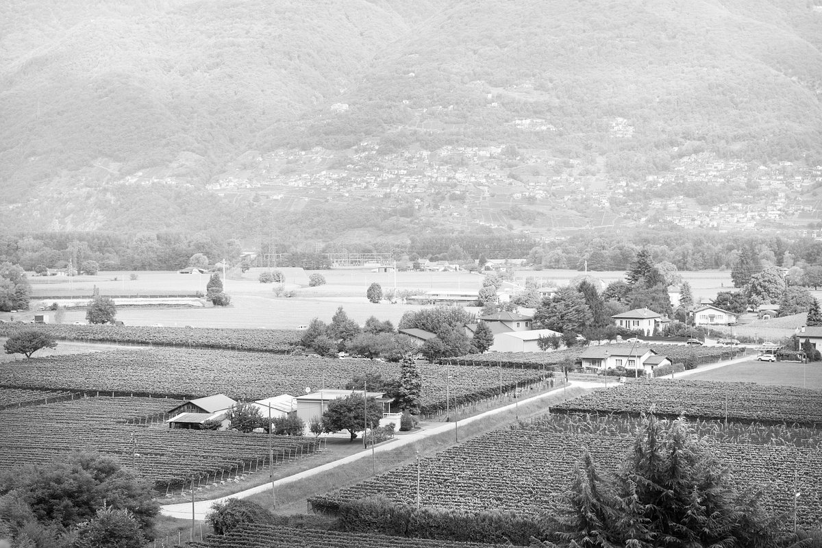 Cantina il Cavaliere, Contone, Switzerland