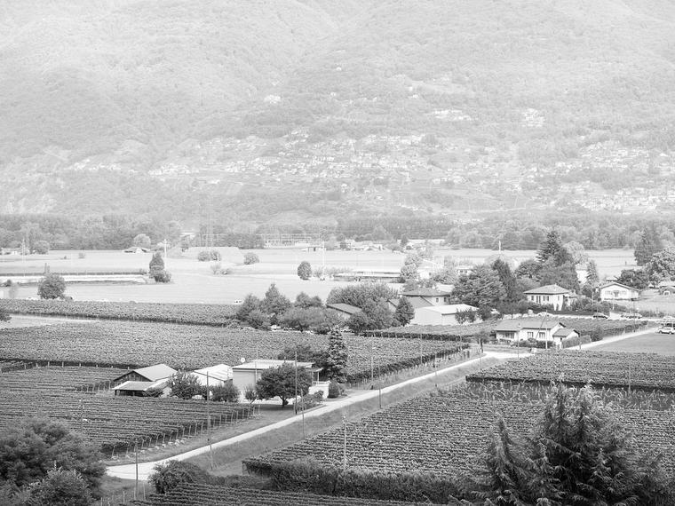 Cantina il Cavaliere, Contone, Switzerland