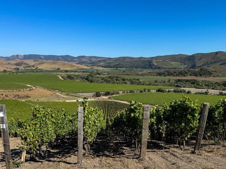 Arietta, Carneros/Napa (Southern Napa), United States