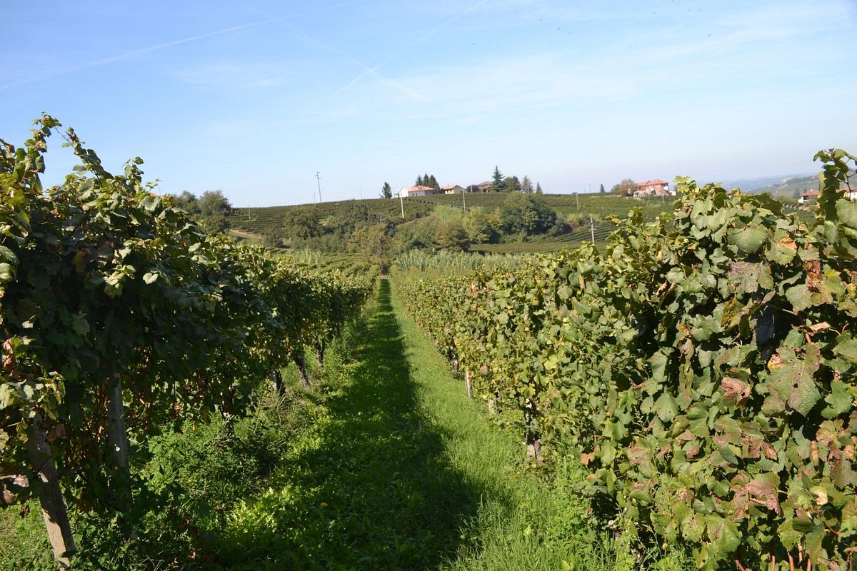 Azienda Agricola Ressia