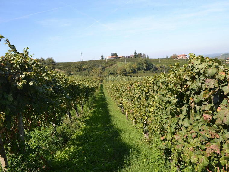 Azienda Agricola Ressia, Neive, Italy