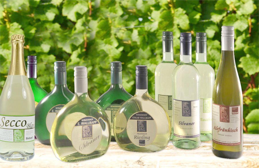 Bio Weingut Wallrapp winery in Theilheim