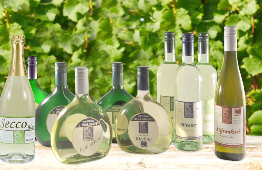 Bio Weingut Wallrapp, Winery in Theilheim
