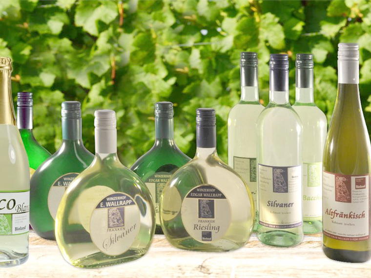 Bio Weingut Wallrapp, Theilheim, Germany