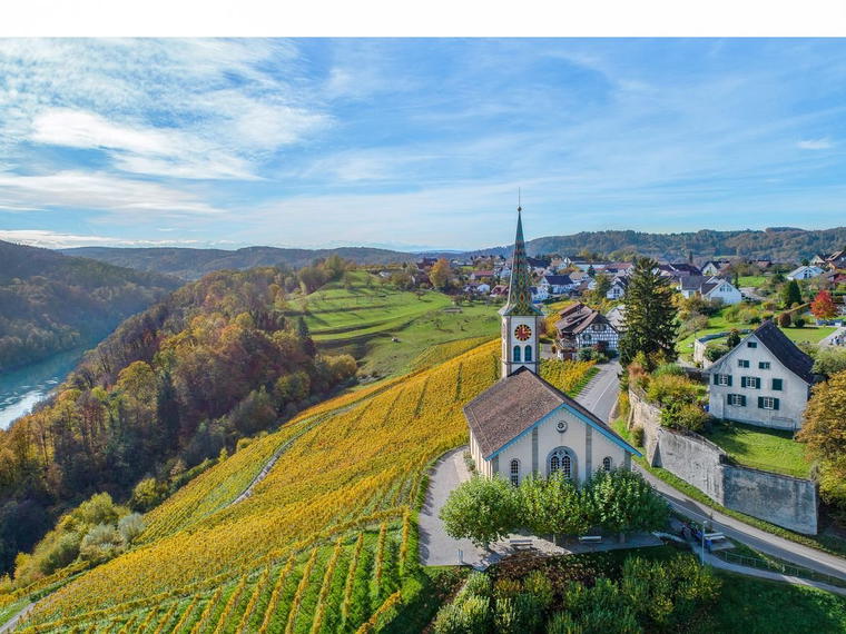 Biovin Martin, Ligerz Am Bielersee, Switzerland