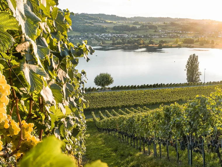 Besserstein Wein, Villigen, Switzerland
