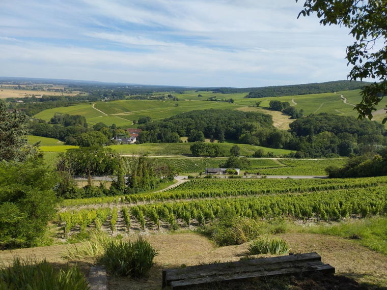 Joseph Mellot, Sancerre, France