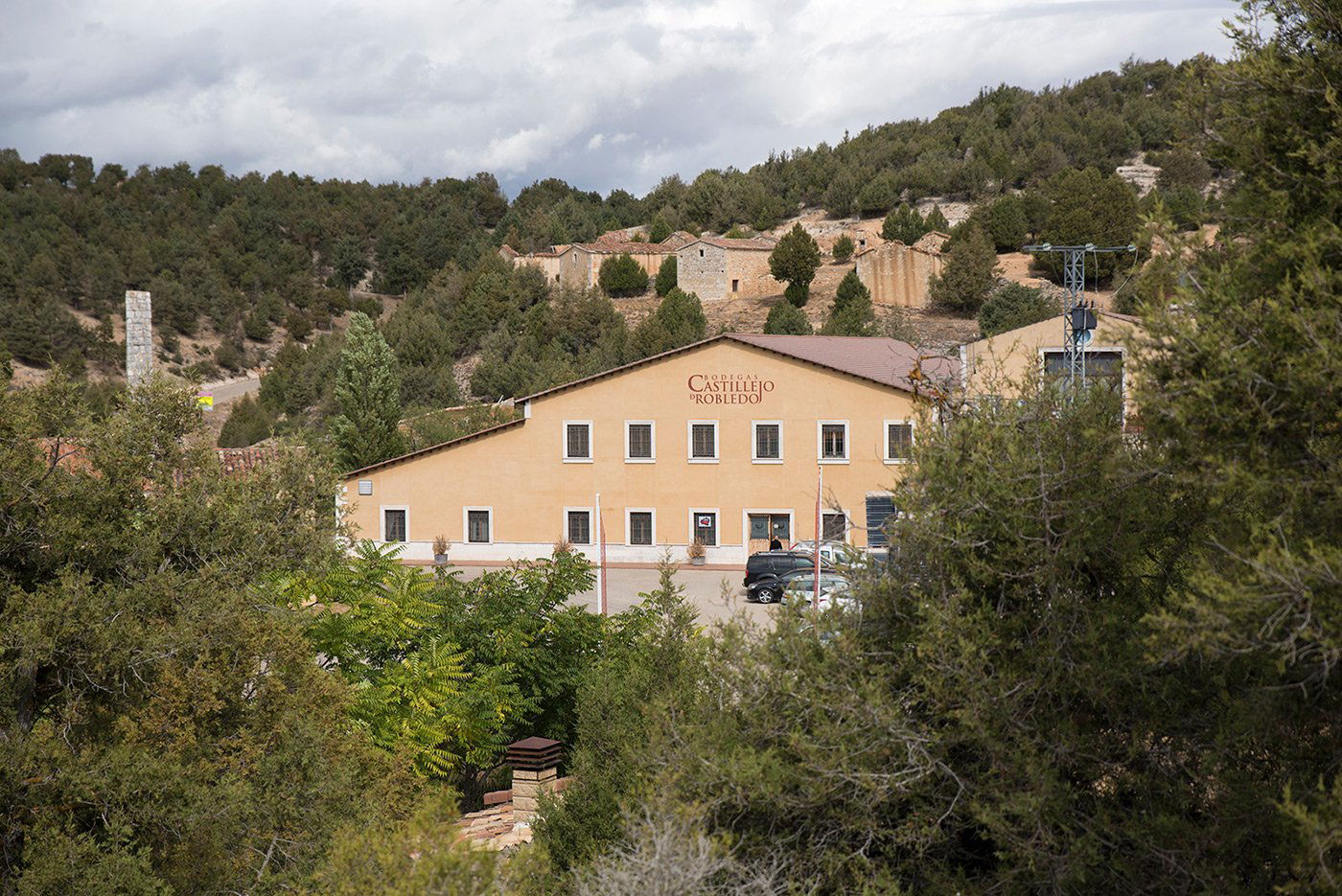 Bodegas Castillejo de Robledo, Winery in Castillejo De Robledo