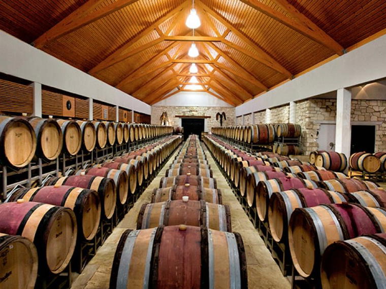 Weingut Umathum, Frauenkirchen, Austria