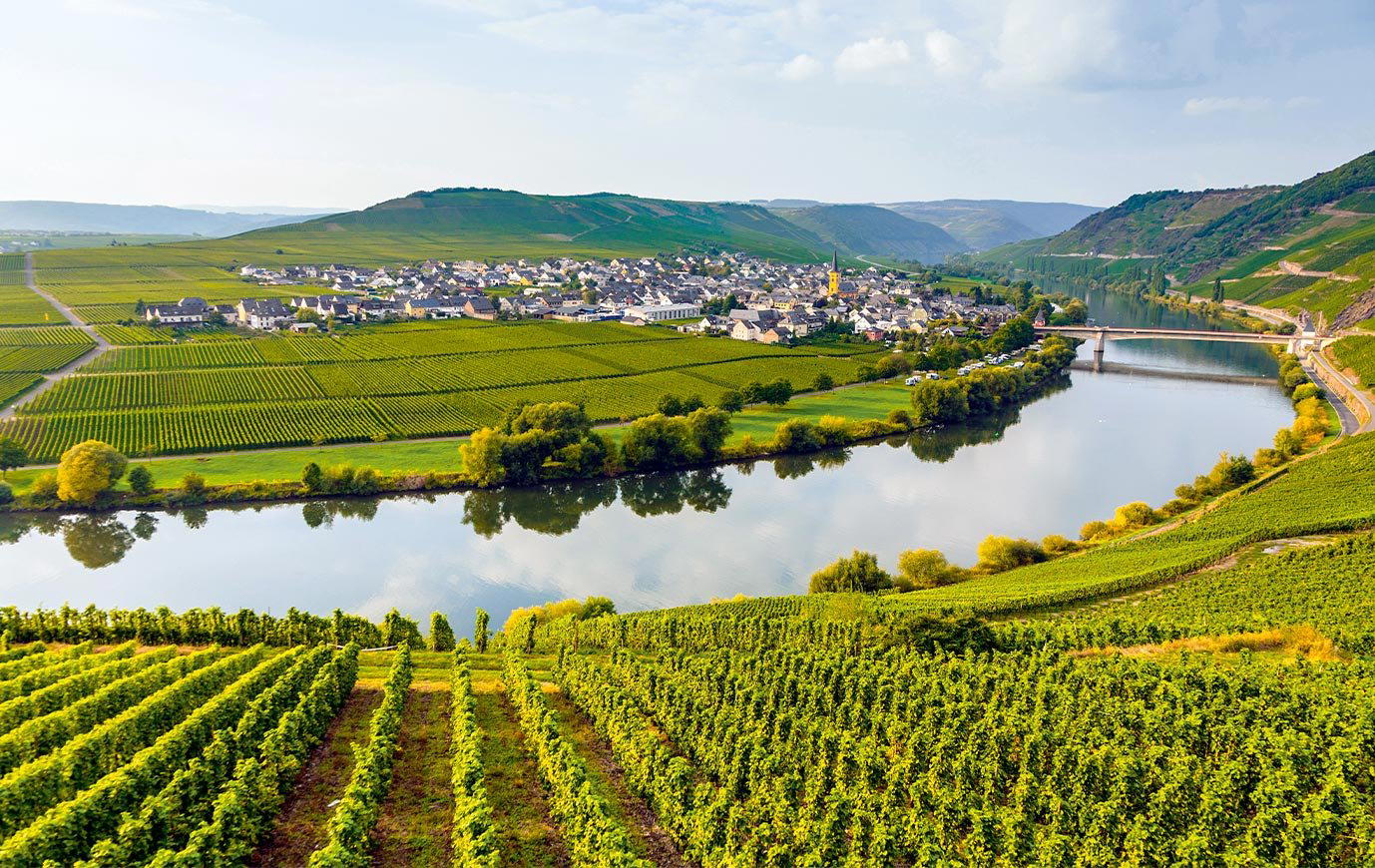 Weingut Rings winery in Freinsheim