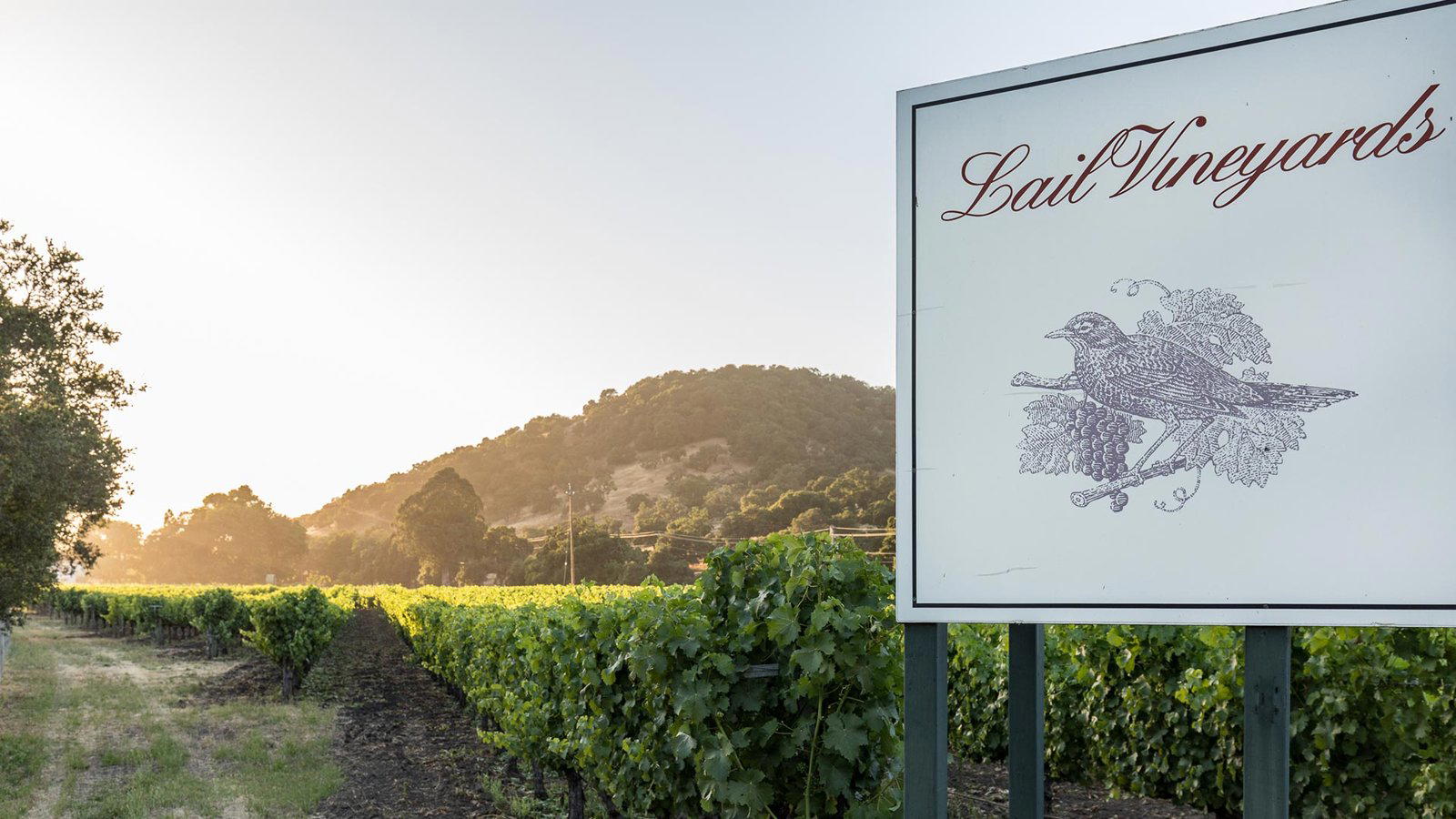 Lail Vineyards winery in Napa, United States