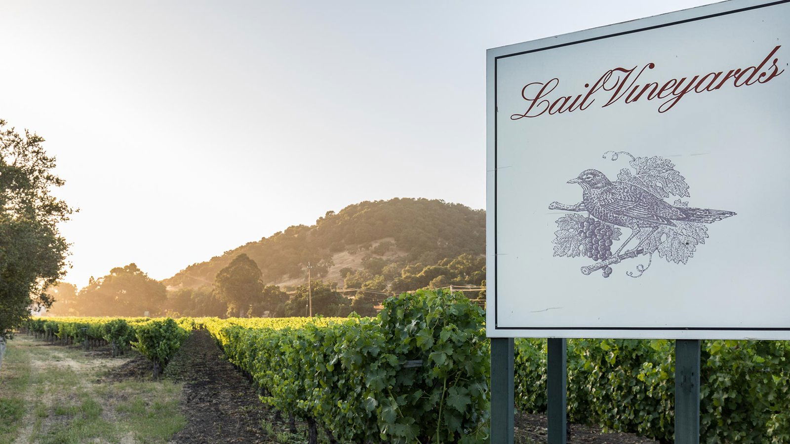 Lail Vineyards, Winery in Napa