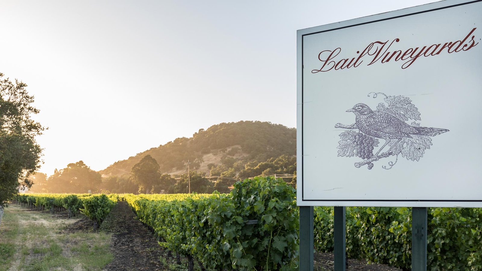 Lail Vineyards