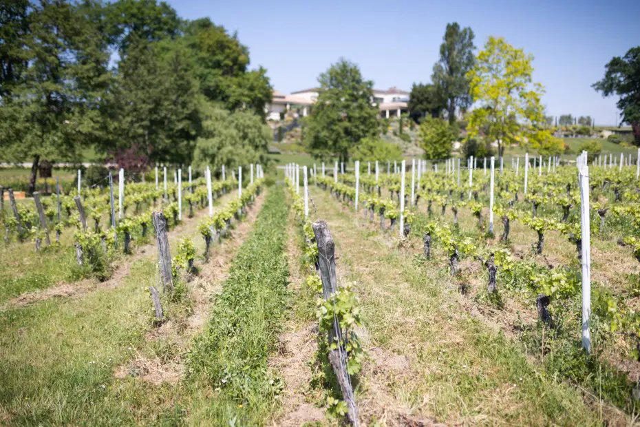 Château Bellisle Mondotte winery in Saint-Laurent-des-Combes