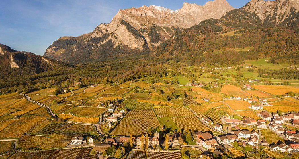 Büsch Weine winery in Maienfeld