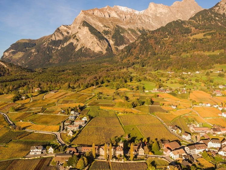 Büsch Weine, Maienfeld, Switzerland