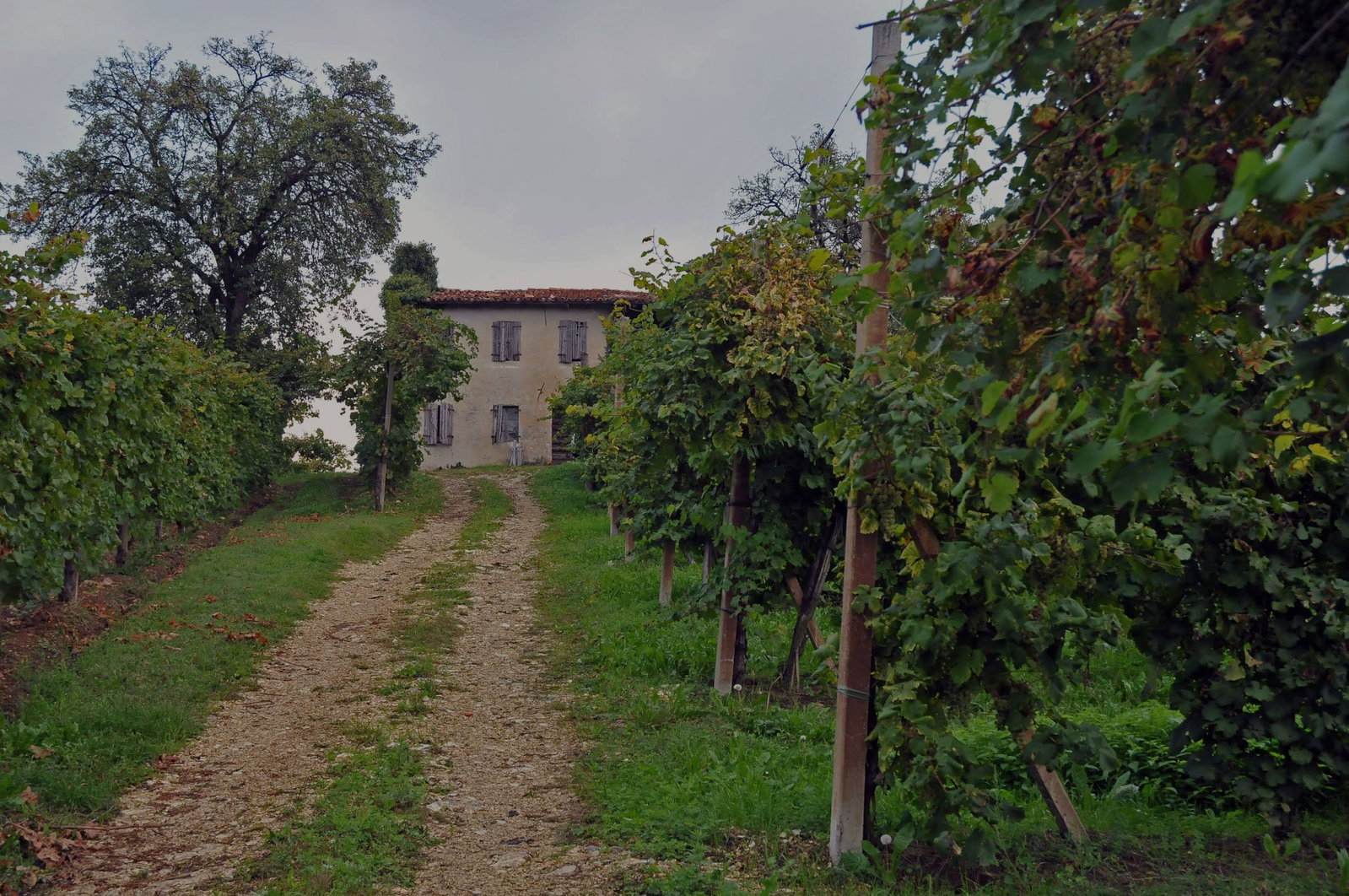 Le Colture, Valdobbiadene, Italy