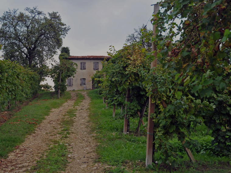 Le Colture, Valdobbiadene, Italy