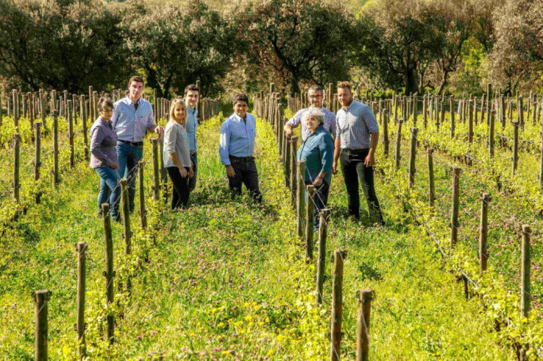 Camerani - Adalia & Corte Sant'Alda winery in Mezzane Di Sotto