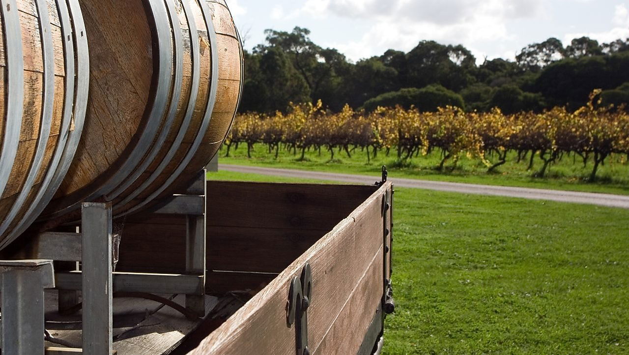 St Hallett, Winery in Barossa