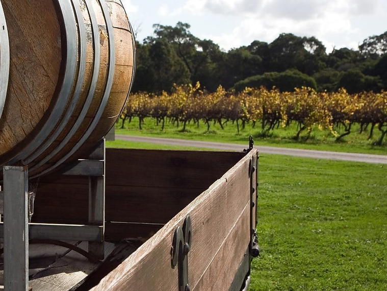 St Hallett, Barossa, Australia