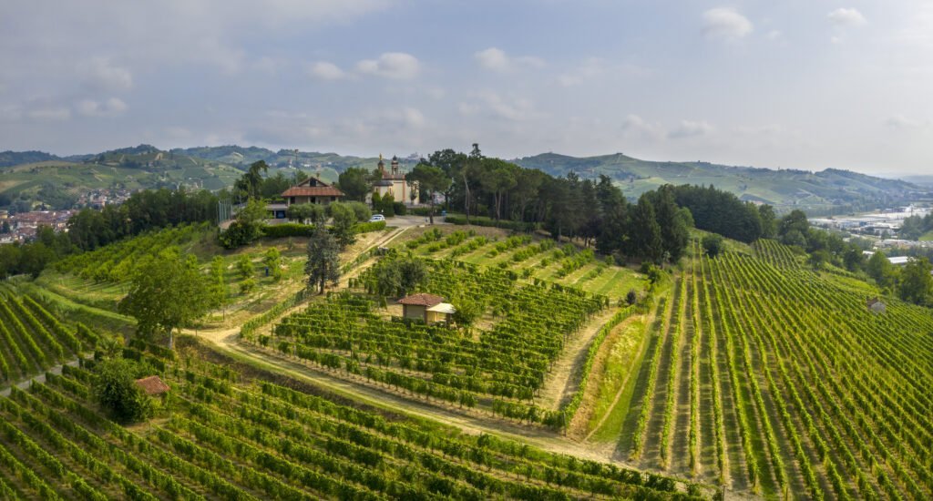 Carlo Casetta, Winery in Montà