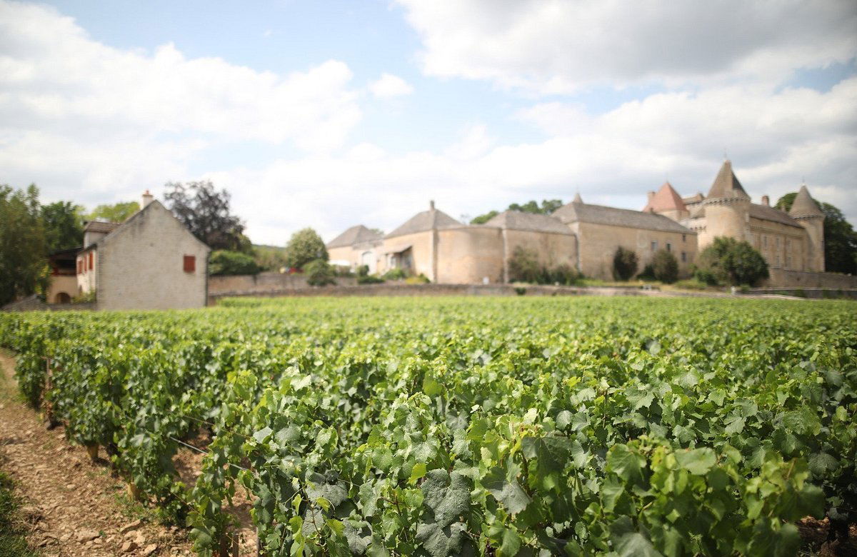 André Delorme, Winery in Rully