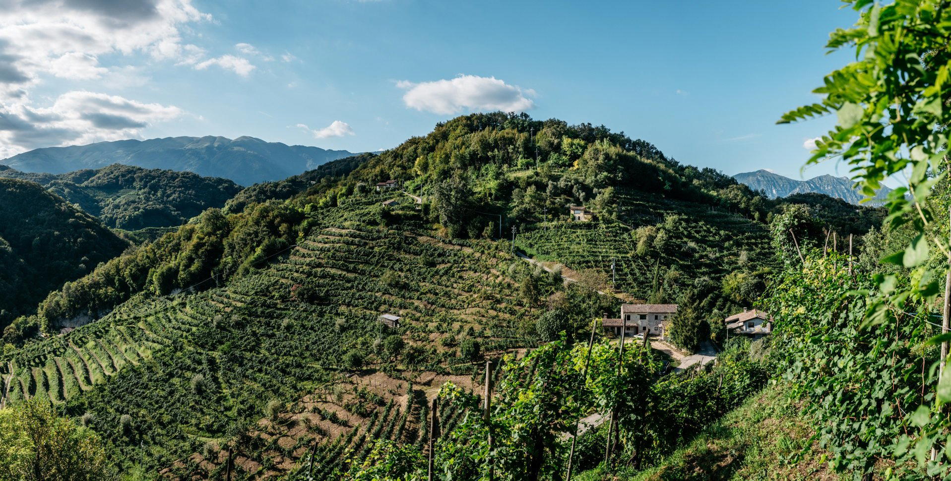 La Farra winery in Farra di Soligo