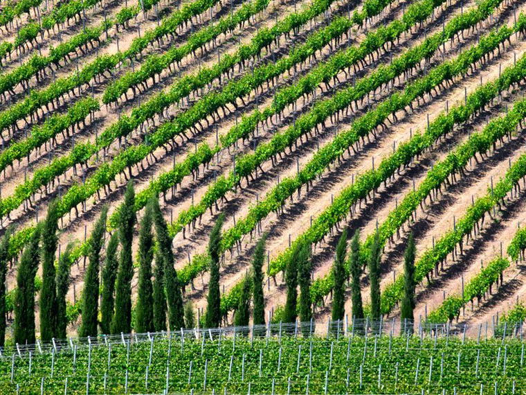 Boutari Wineries Naoussa, Veria, Greece