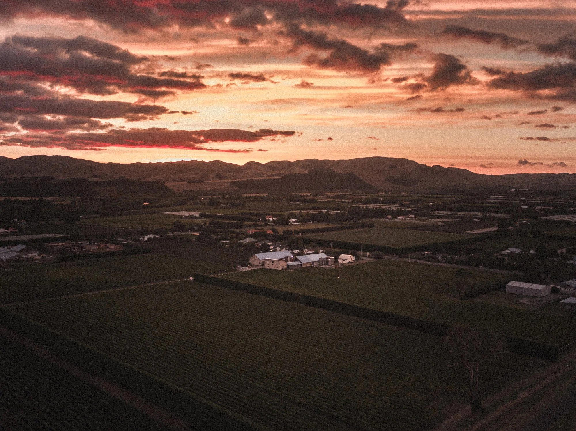Martinborough Vineyard winery in Martinborough